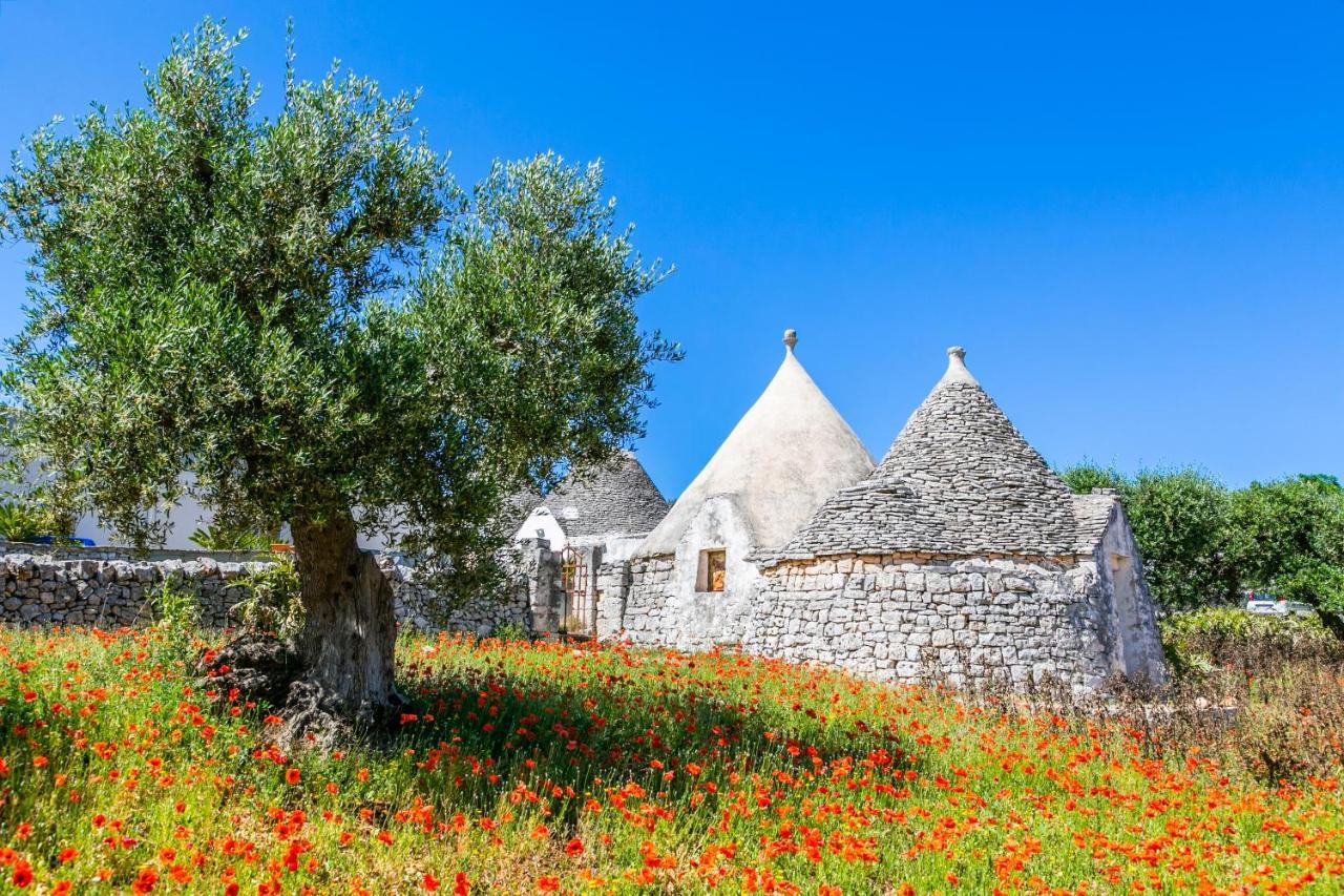 Domus Otium Ostuni - Tiny House Apartment Exterior foto
